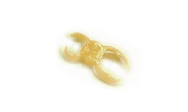 �ڒ��u���b�W�̃Z���~�b�N�^�C�v�E�����s�`�斃�z�\��