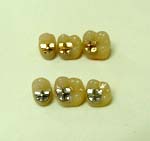 ���ꎕ�̎��E���^���u���[�h